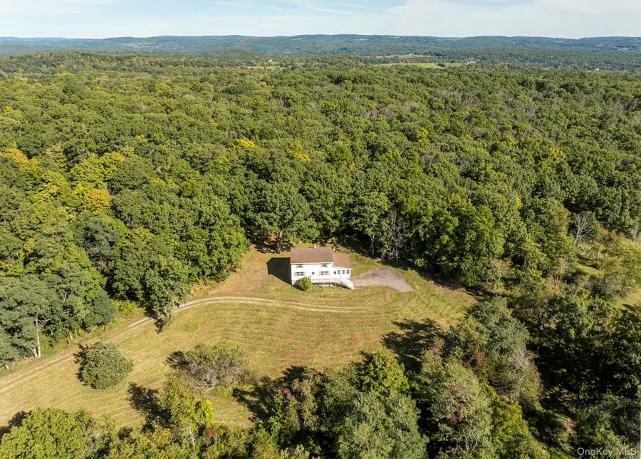 544 Willow Brook Road, Clinton Corners, NY 12514 - #2
