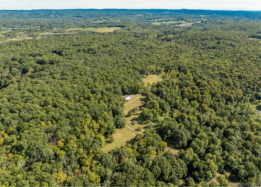 544 Willow Brook Road, Clinton Corners, NY 12514 - #3