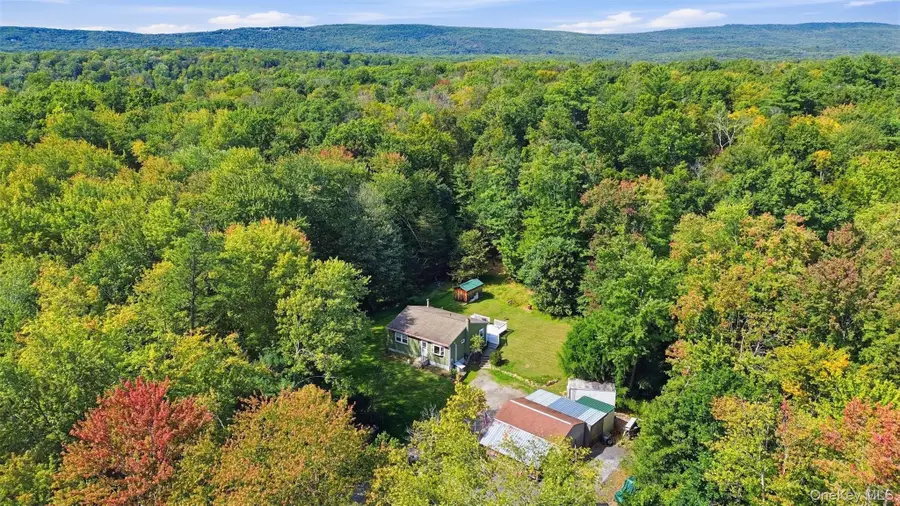 187 Birchwood Drive, Pine Bush, NY 12566 - #2