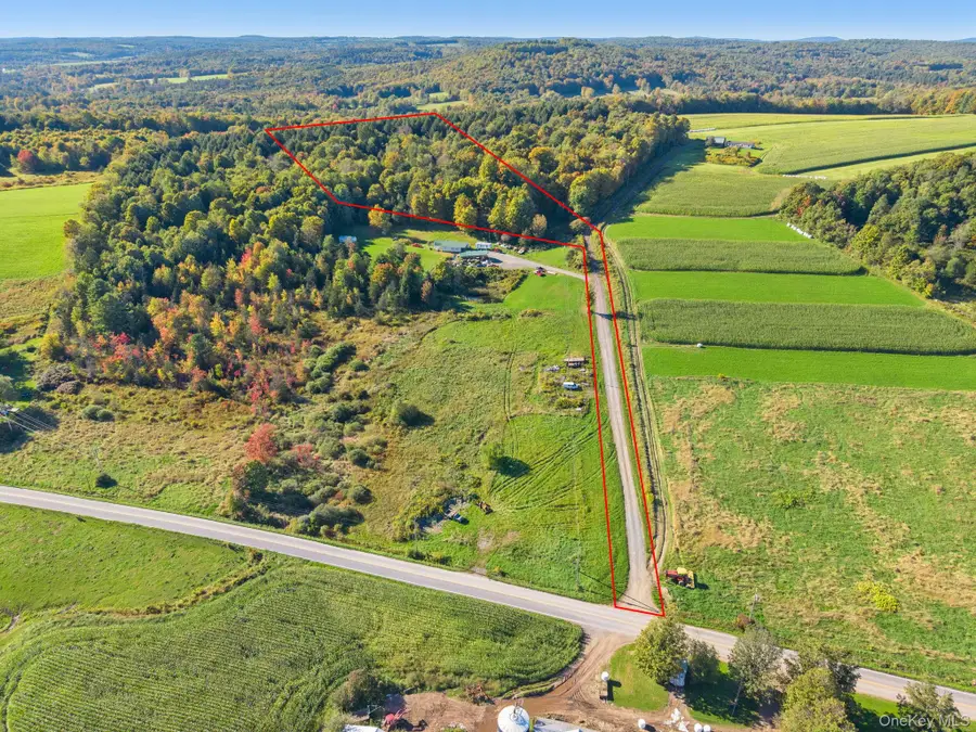 L1.3 N Harpersfield Rd, Jefferson Ny, Jefferson, NY 12093 - #2