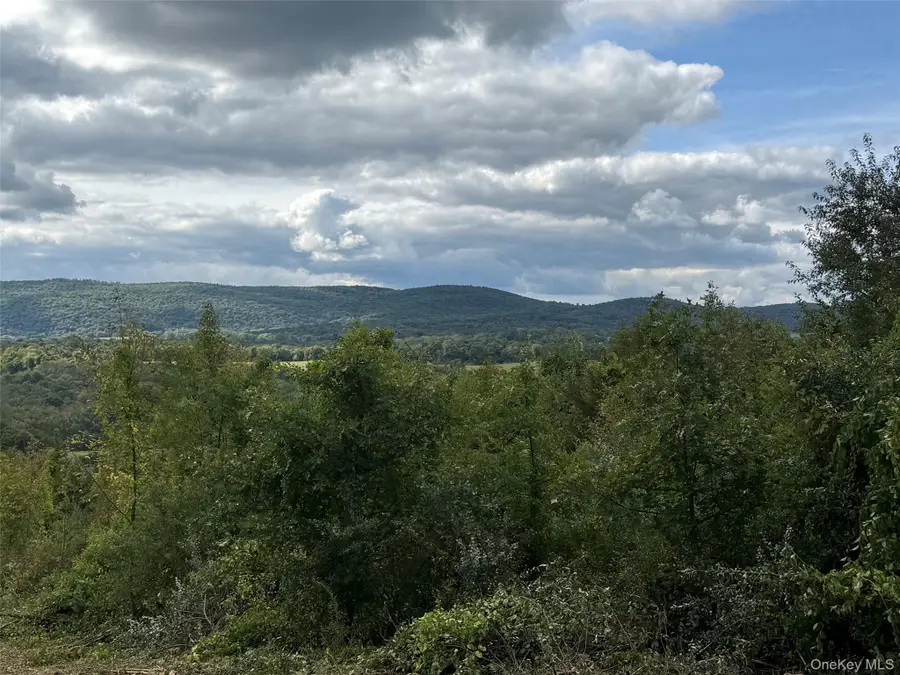 Lot # 11 Westerly Ridge Drive, Amenia, NY 12501 - #2