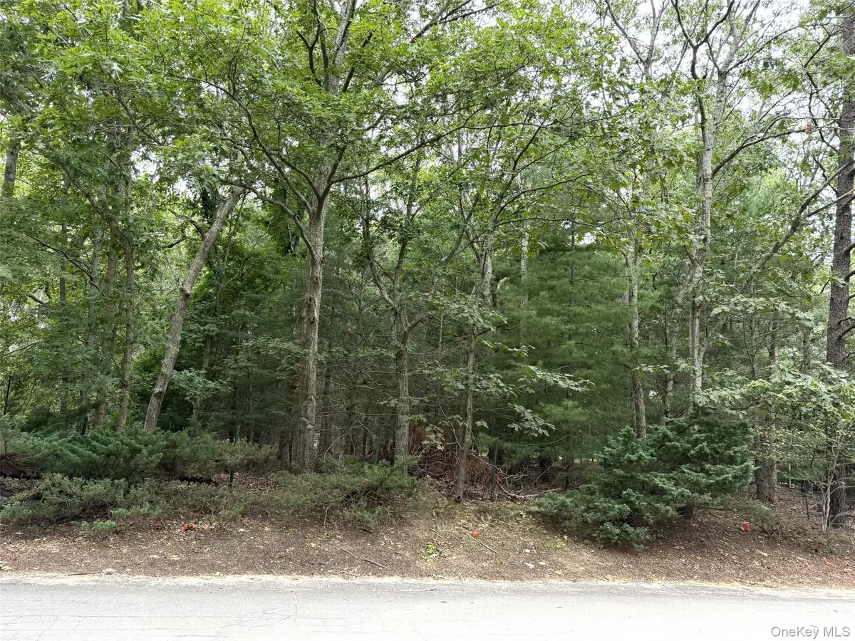 4 Olive Street, East Hampton, NY 11937 - #1