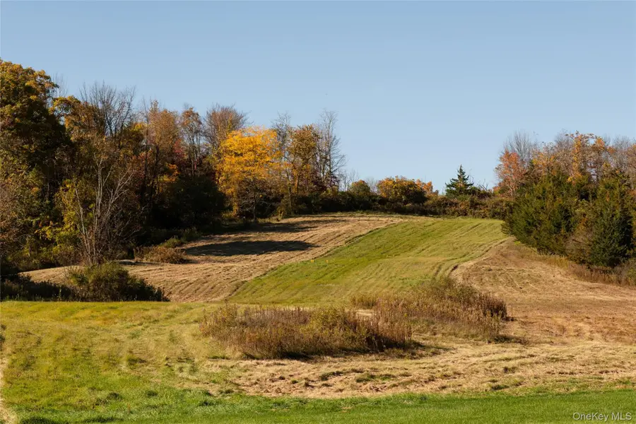 155 Milan Hollow Road, Rhinebeck, NY 12572 - #3