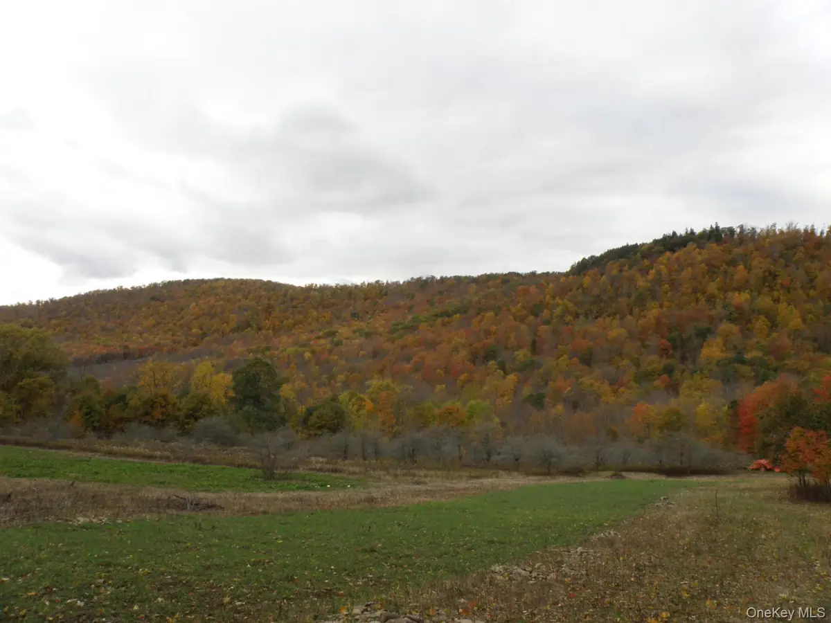 Gregory Hollow Road, Hamden, NY 13782 - #1