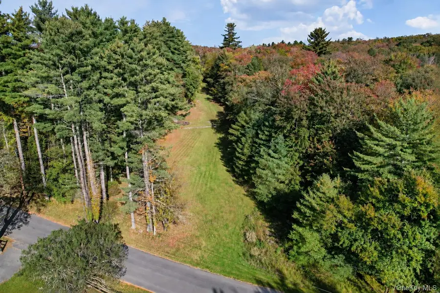118 Weiser Road, Ellenville, NY 12428 - #2