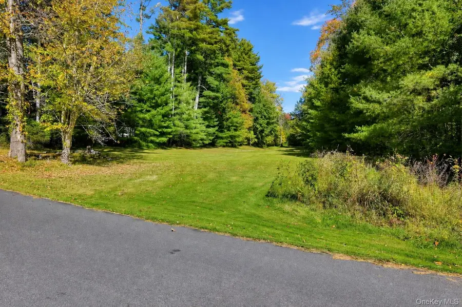 118 Weiser Road, Ellenville, NY 12428 - #3