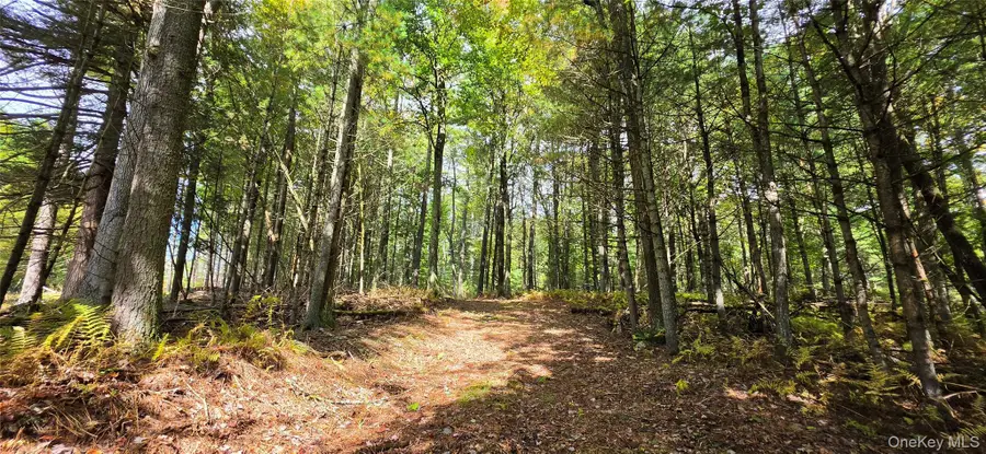 Lot 6.17 State Rt 97, Narrowsburg, NY 12764 - #2
