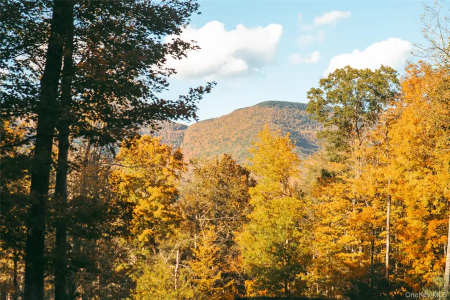TBD Macdaniel Road, Bearsville, NY 12409 - #2