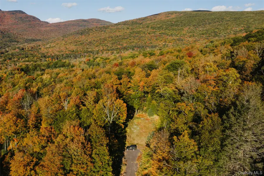 TBD Macdaniel Road, Bearsville, NY 12409 - #3
