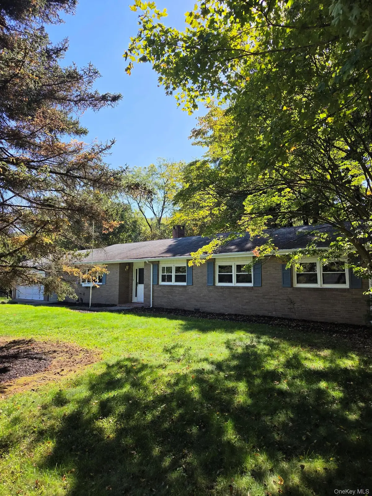 17 Nanuwitt Lane, Salisbury Mills, NY 12577 - #1