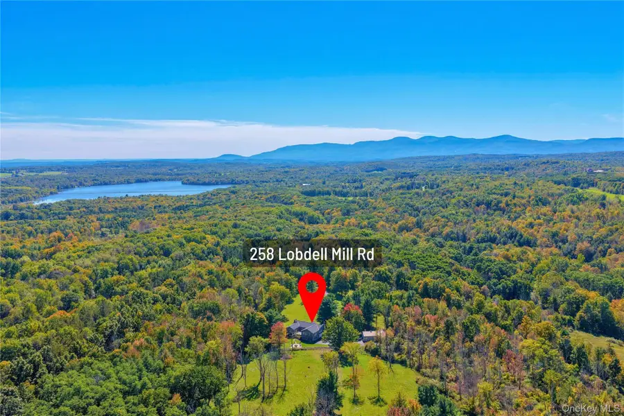 258 Lobdell Mill Road, Westerlo, NY 12193 - #2