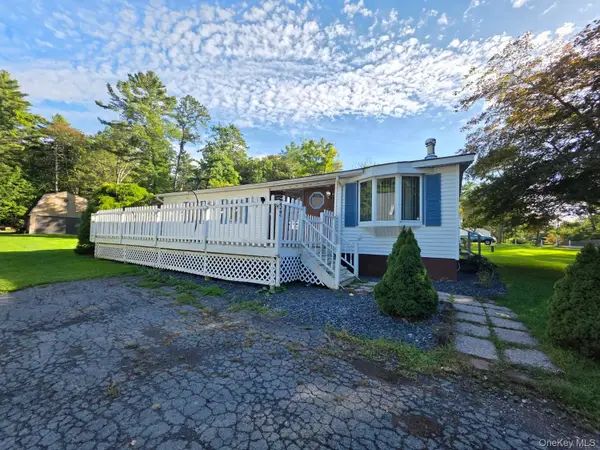 32 Bodine Lake Road, Eldred, NY 12732