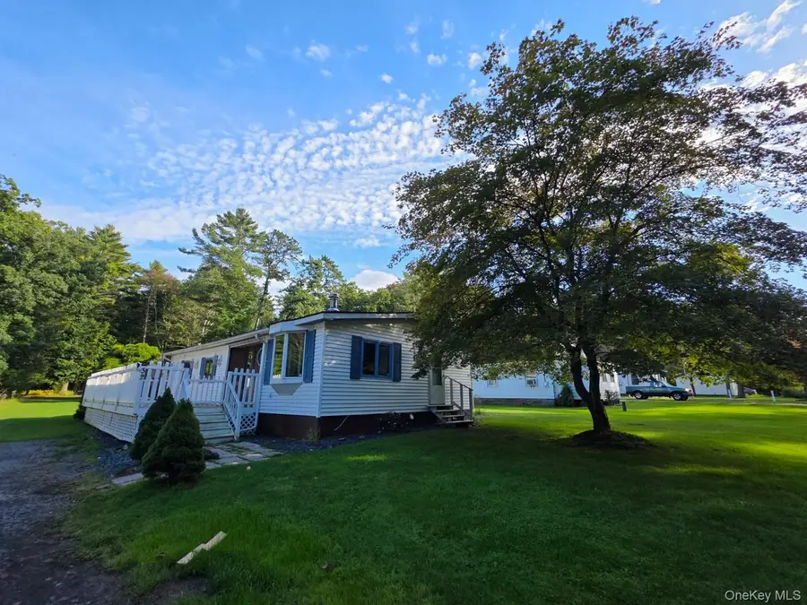 32 Bodine Lake Road, Eldred, NY 12732 - #3