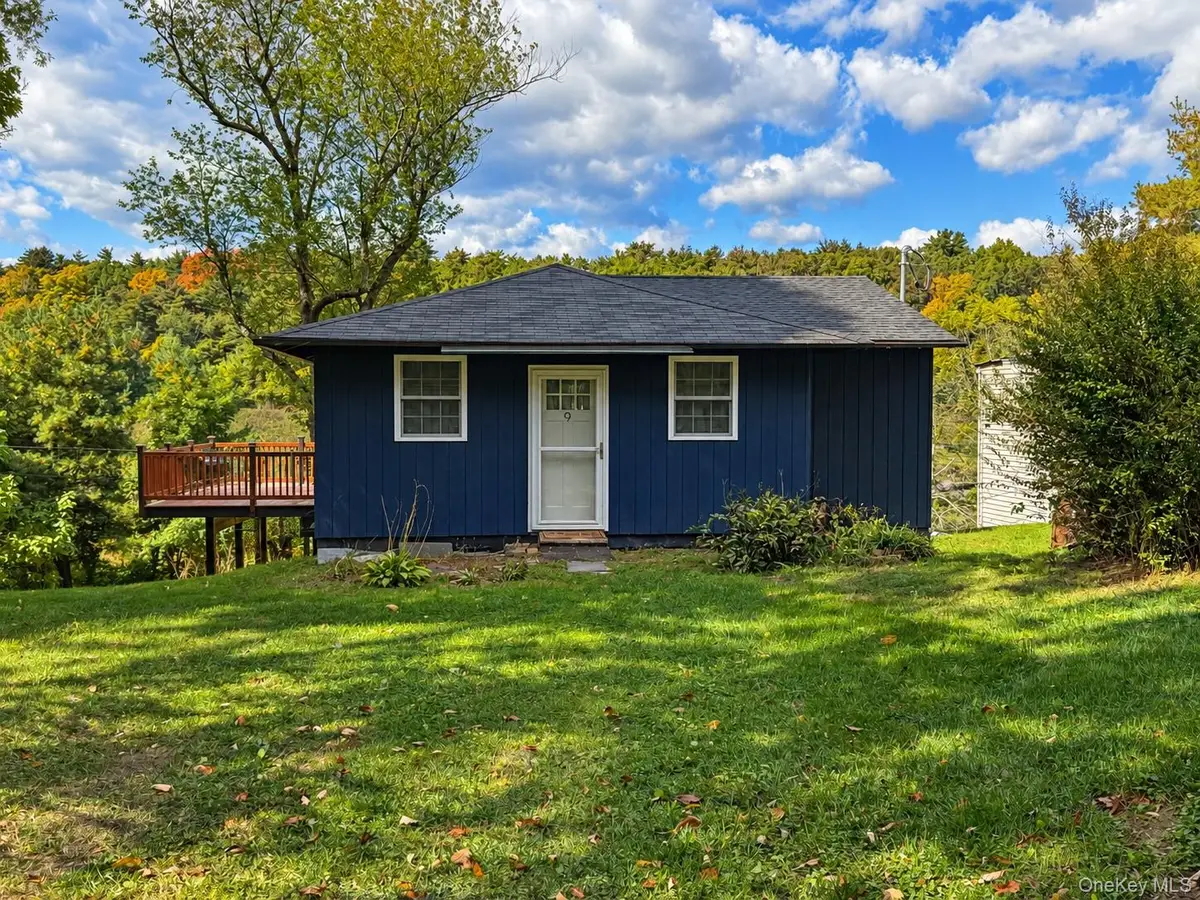 9 Old Green Lake Road, Athens, NY 12015 - #1