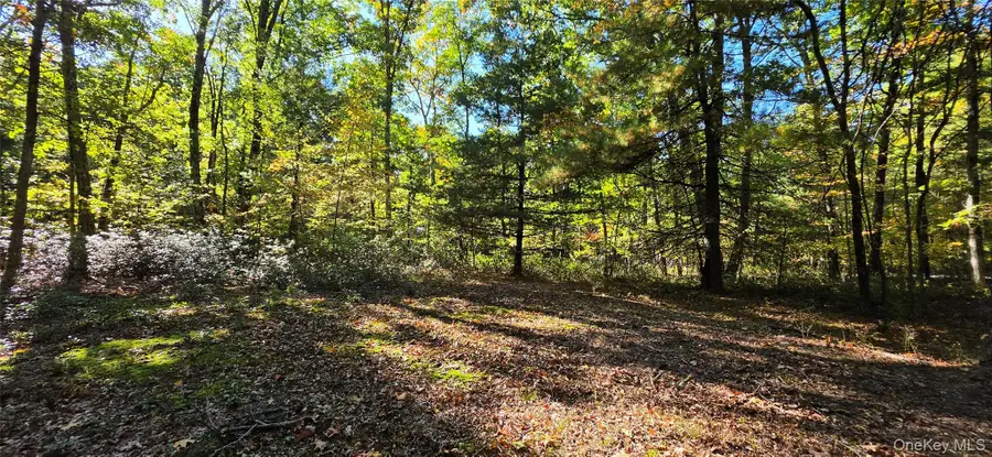 Lot #86 Perry Pond Road, Narrowsburg, NY 12764 - #2