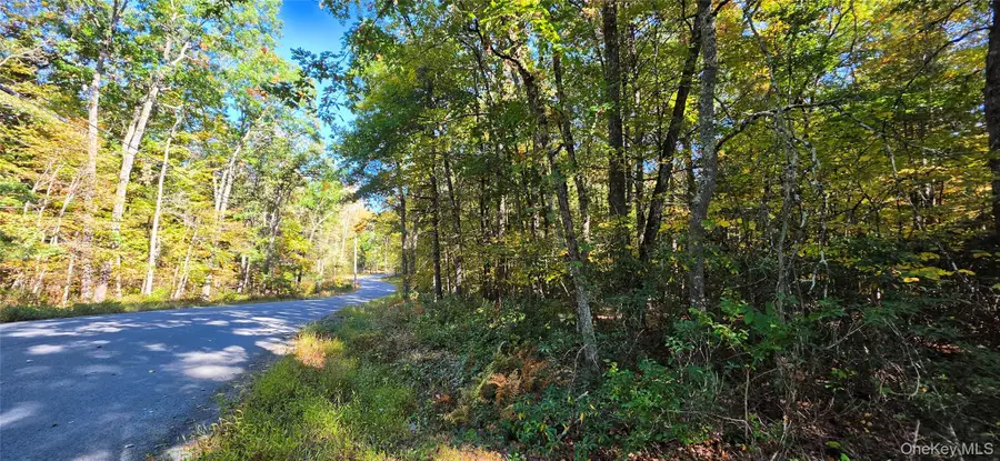 Lot #86 Perry Pond Road, Narrowsburg, NY 12764 - #3