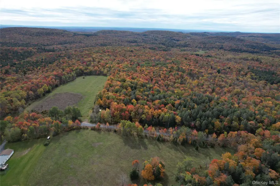 TBD Lily Pond Road, Parksville, NY 12768 - #2