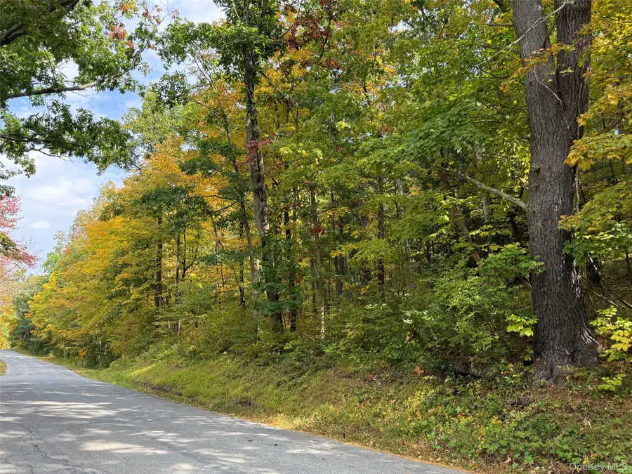 Fiddlers Bridge Road, Staatsburg, NY 12580 - #2