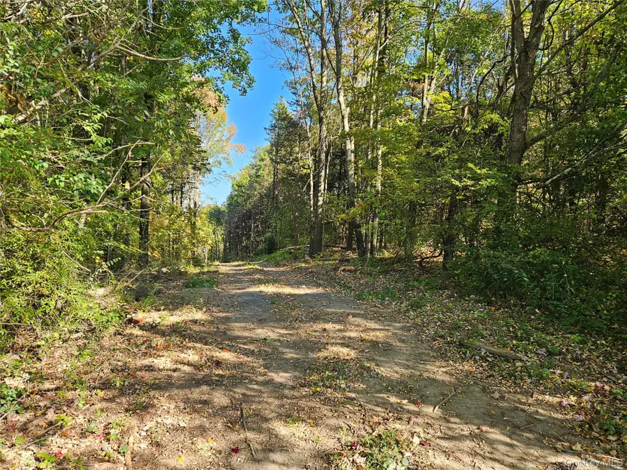 Halls Corners Road, Dover Plains, NY 12522 - #3