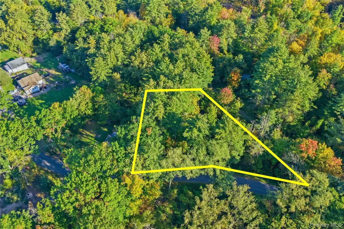 66 Turkey Hill Road, Kerhonkson, NY 12446 - #1
