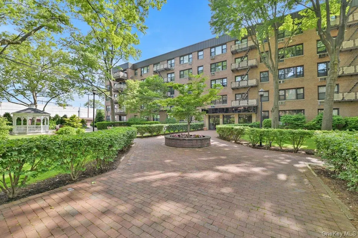 6 Birchwood Court #3F, Mineola, NY 11501 - #1