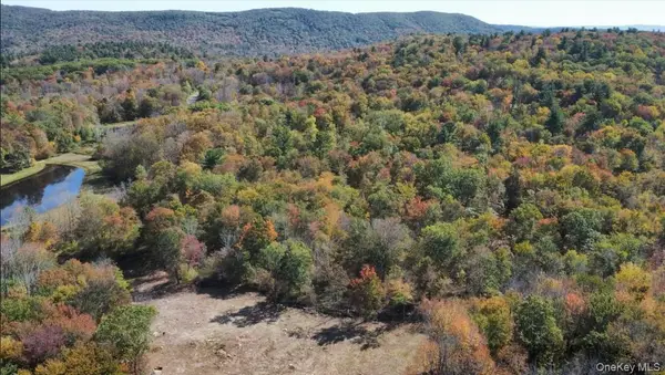 TBD (East Lot) W Hill Road, Austerlitz, NY 12017