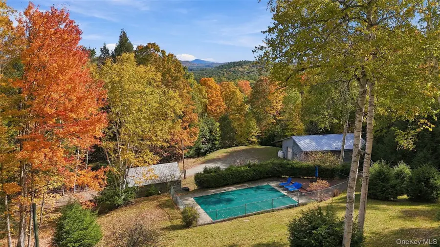 111 Bowen Hill Road, Thurman, NY 12885 - #3