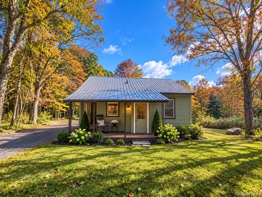 200 Daub Road, Cochecton, NY 12726 - #3