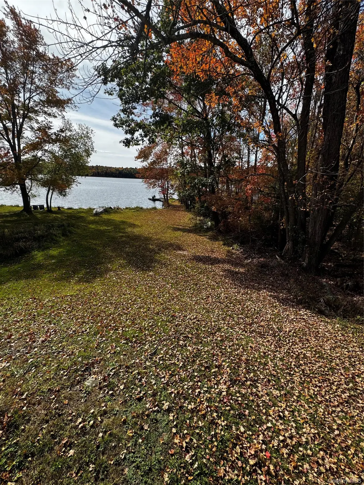 168 Lake Street, South Fallsburg, NY 12779 - #1