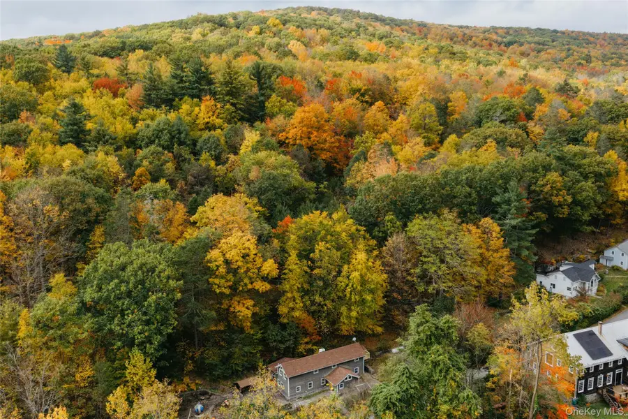 51 Hutchin Hill Road, Bearsville, NY 12409 - #3