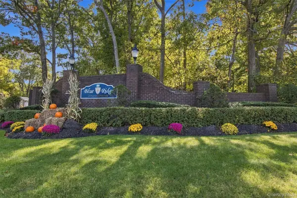 460 Daryl Drive, Medford, NY 11763