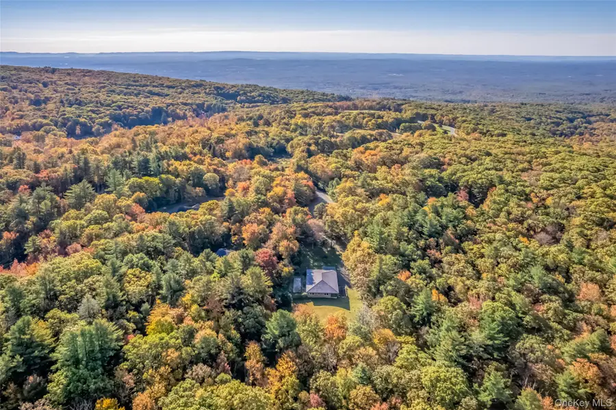 296 Circle Road, Cragsmoor, NY 12420 - #3