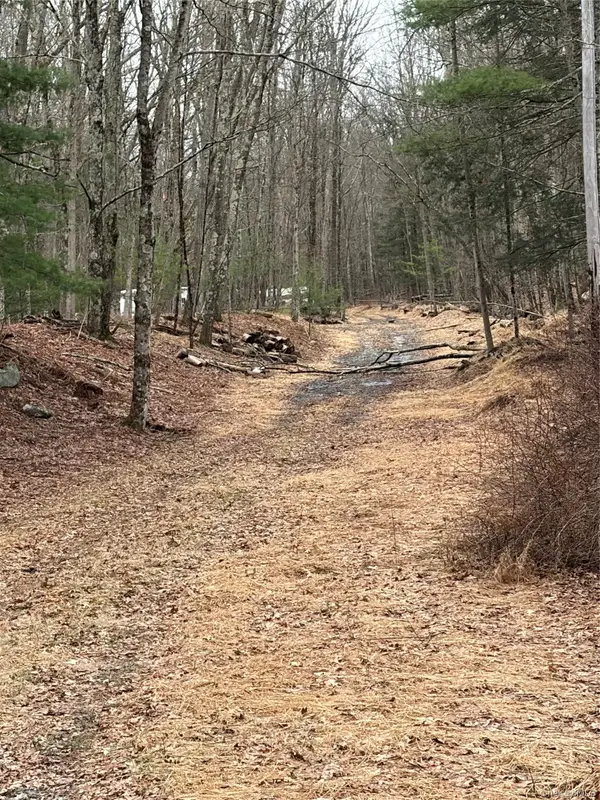 Red Hill Road, Wurtsboro, NY 12790