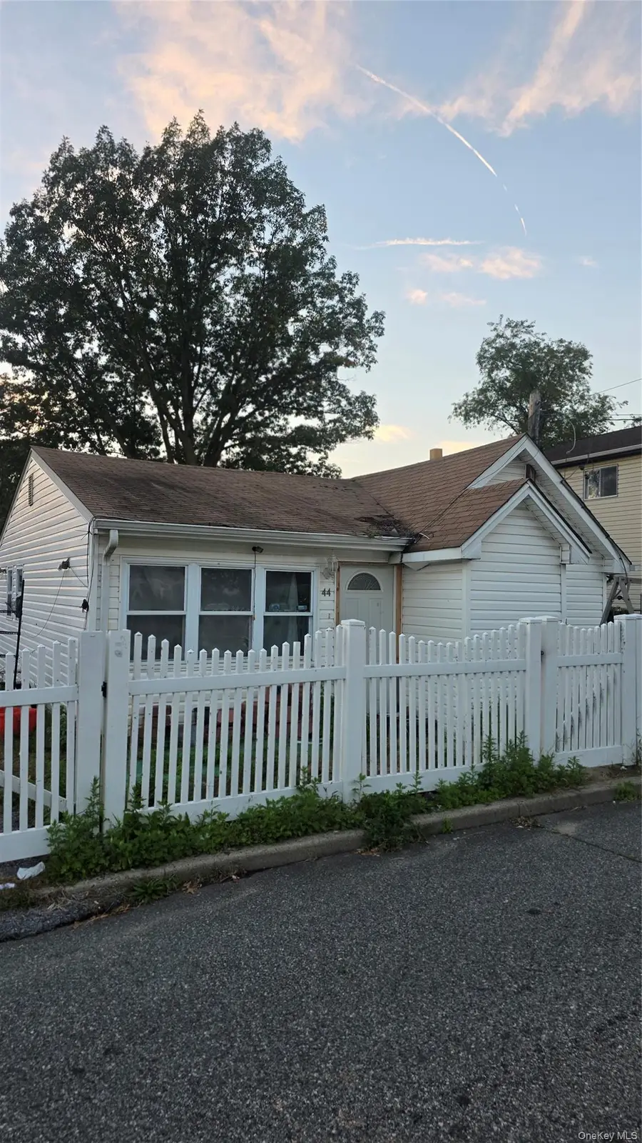 44 Carnegie Avenue, Elmont, NY 11003 - #2