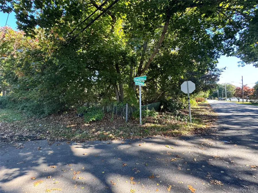 Lot #35 Westminster Drive, Shirley, NY 11967 - #2