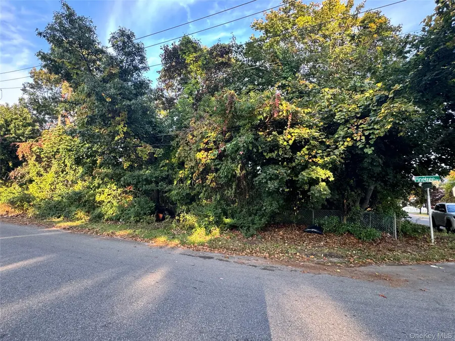 Lot #36 Westminster Drive, Shirley, NY 11967 - #2