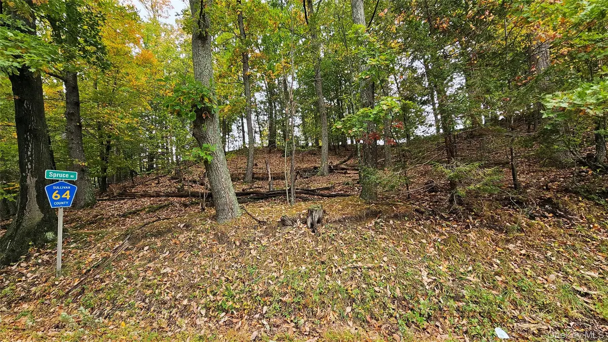 X Spruce Road, Middletown, NY 10940 - #1