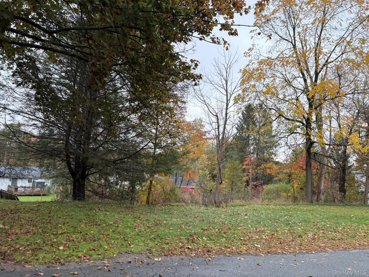 Fairway Avenue, Liberty, NY 12754 - #1
