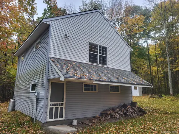 1756 Fuller Hill Road, Downsville, NY 13755