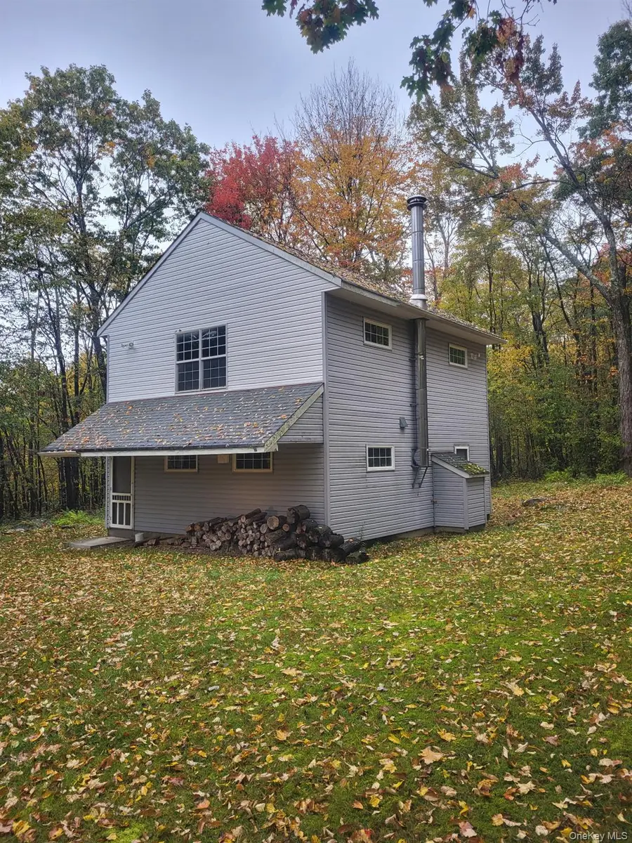 1756 Fuller Hill Road, Downsville, NY 13755 - #3