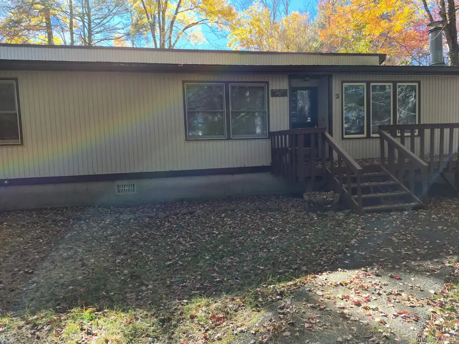 3 Edinburgh Lane, Monticello, NY 12701 - #2