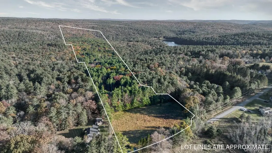 Lot 22.1 Crawford Road, Yulan, NY 12792 - #1