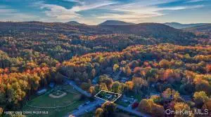 42 Dixon Avenue, Woodstock, NY 12498 - #3