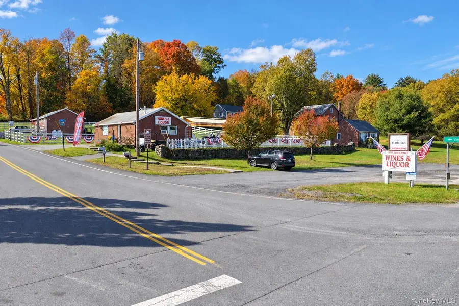 379 & 391 Route 145, Durham, NY 12422 - #3