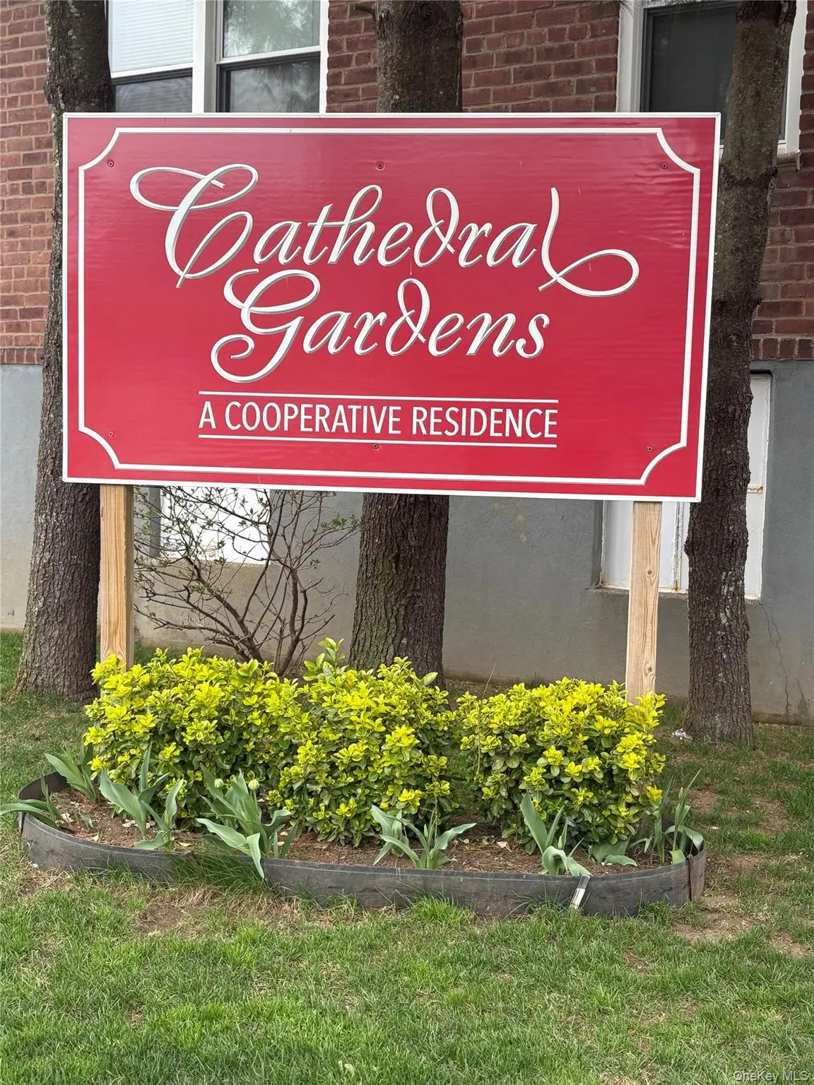 32 Cathedral Avenue #1B, Hempstead, NY 11550 - #1