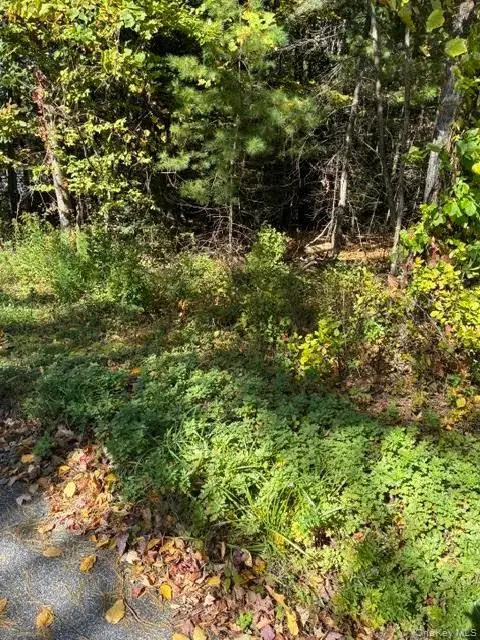 TBD Irish Cape Road, Ellenville, NY 12428 - #2