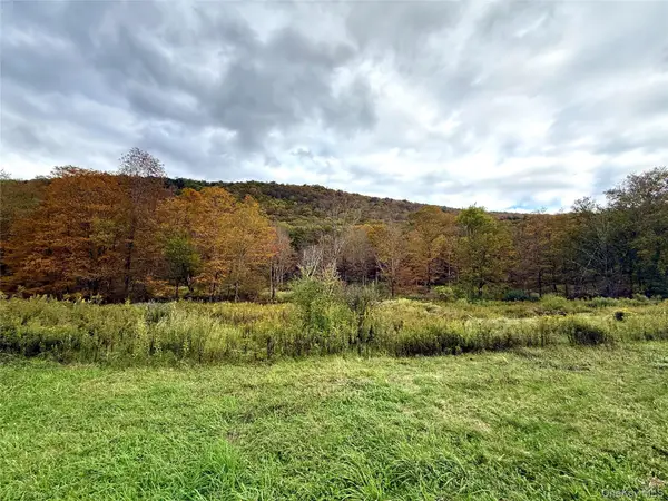 The Gulf Road, Roscoe, NY 12776