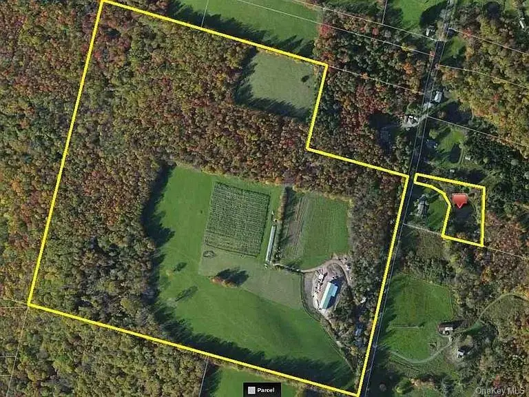 229 Menges Road, Livingston Manor, NY 12758 - #1