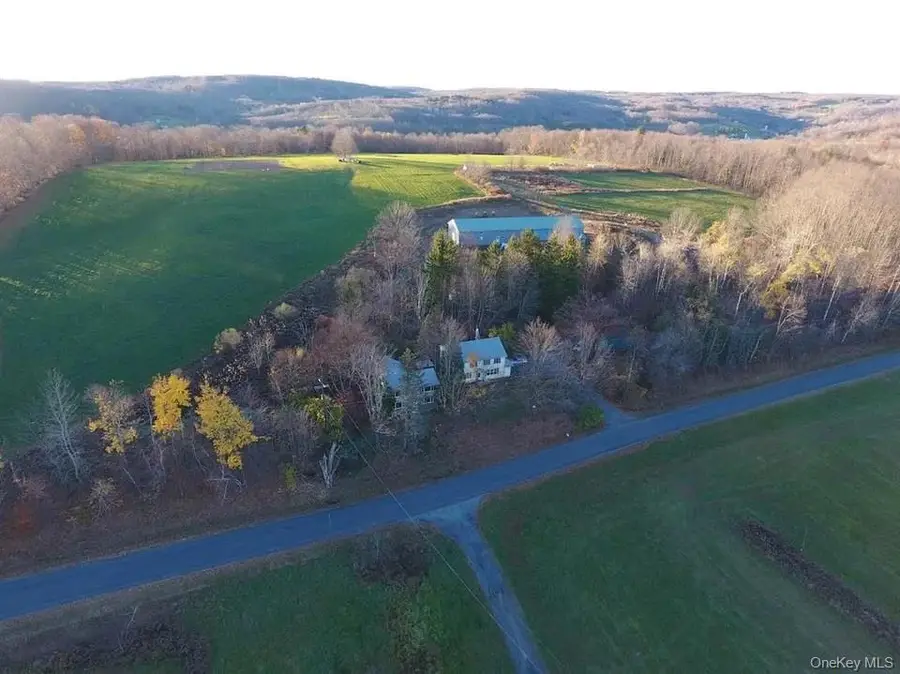 229 Menges Road, Livingston Manor, NY 12758 - #2