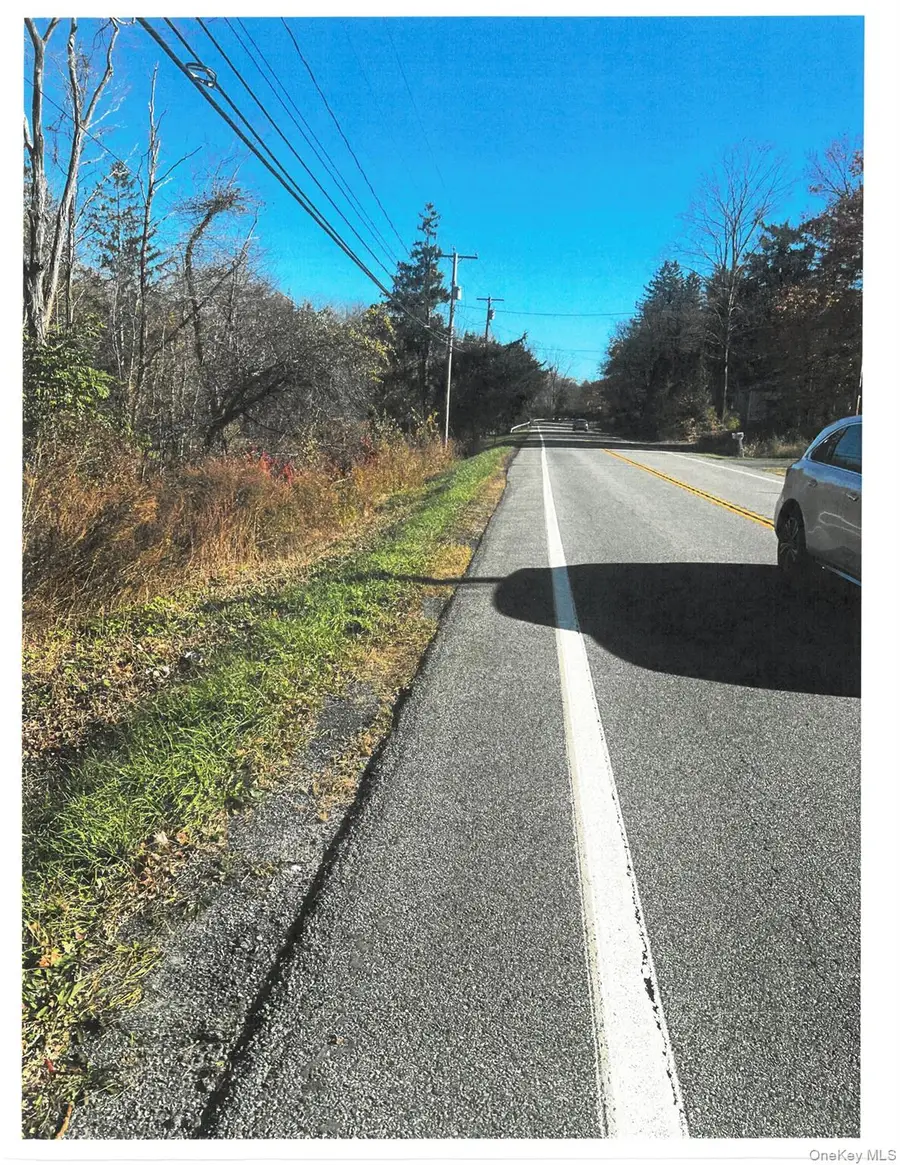 3961 Route 52, Holmes, NY 12531 - #2